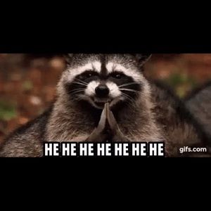 Meet your Posher, Leroy